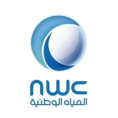 شركاء النجاح